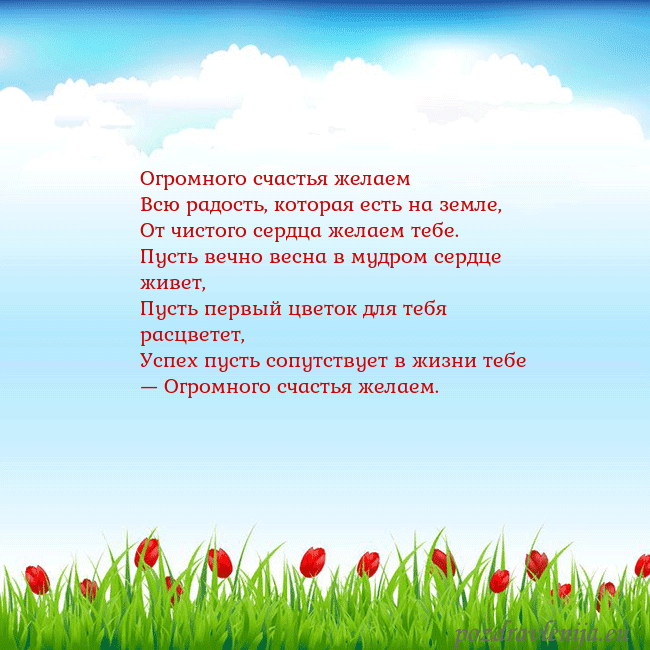 Открытка с тюльпанами