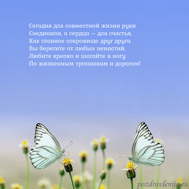 Свадебная открытка с двумя бабочками Сегодня для совместной жизни руки
Соединили, а се Свадебная открытка с двумя бабочками