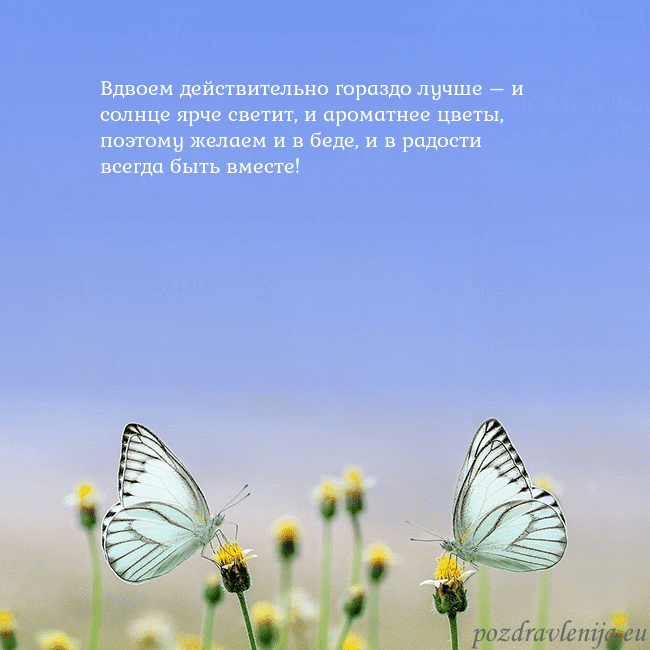 Свадебная открытка с двумя бабочками