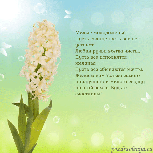 Открытка с гиацинтом Милые молодожены!
Пусть солнце греть вас не устан Открытка с гиацинтом