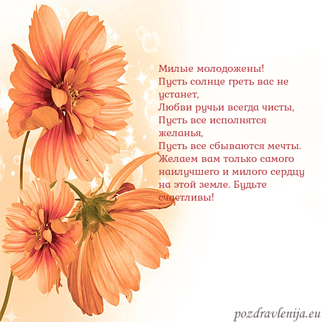 Открытка с оранжевыми цветами Милые молодожены!
Пусть солнце греть вас не устан Открытка с оранжевыми цветами