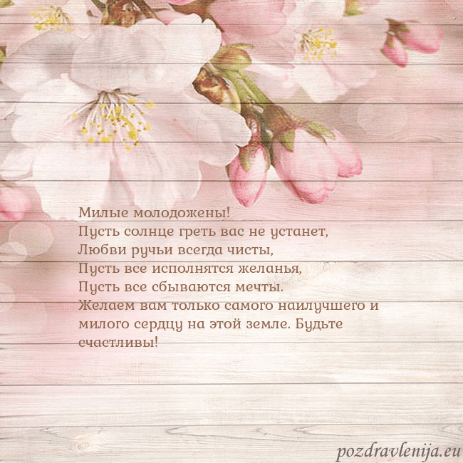 Открытка с цветами яблони Милые молодожены!
Пусть солнце греть вас не устан Открытка с цветами яблони