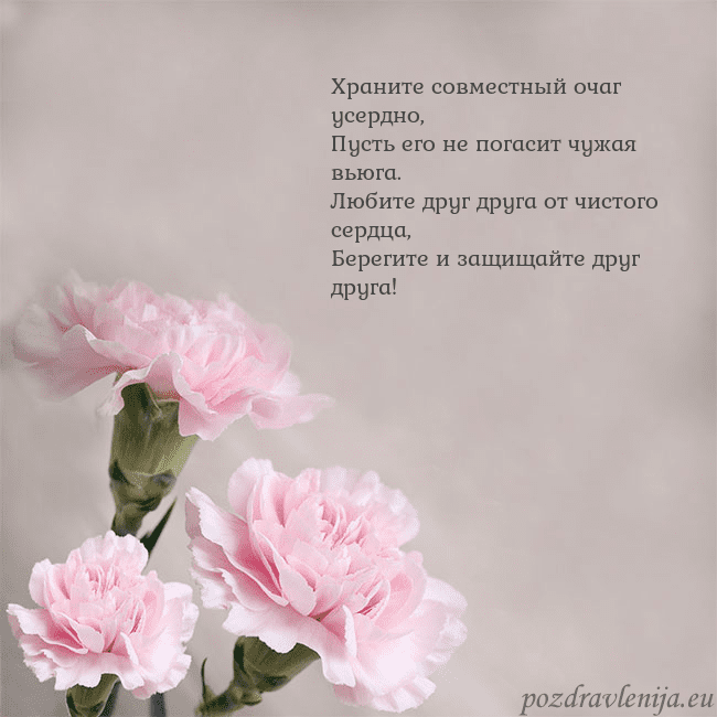 Открытка с розовыми гвоздиками Храните совместный очаг усердно,
Пусть его не пог Открытка с розовыми гвоздиками