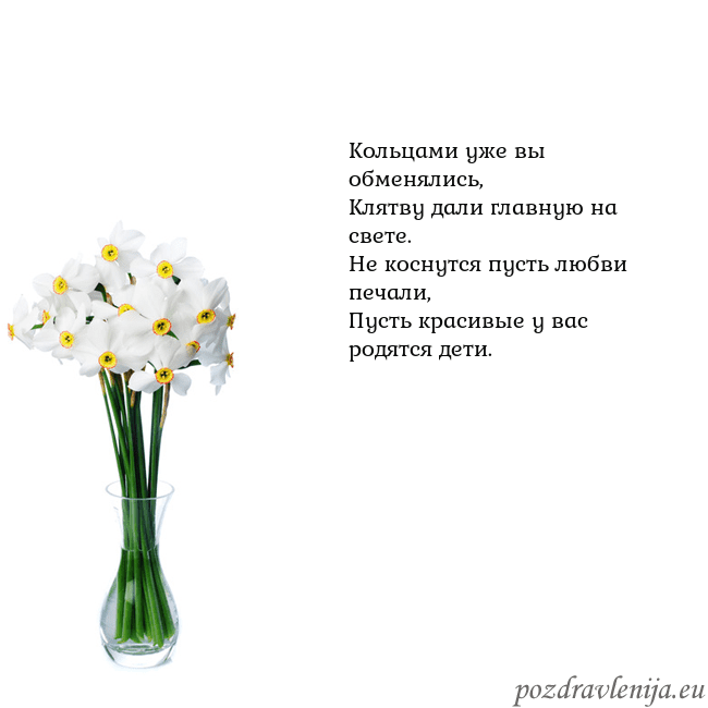 Открытка с нарциссами Кольцами уже вы обменялись,
Клятву дали главную н Открытка с нарциссами