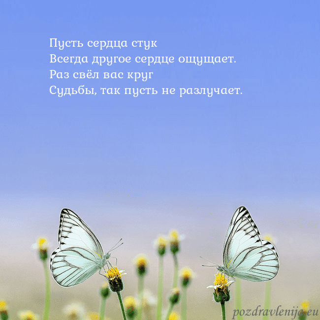 Свадебная открытка с двумя бабочками