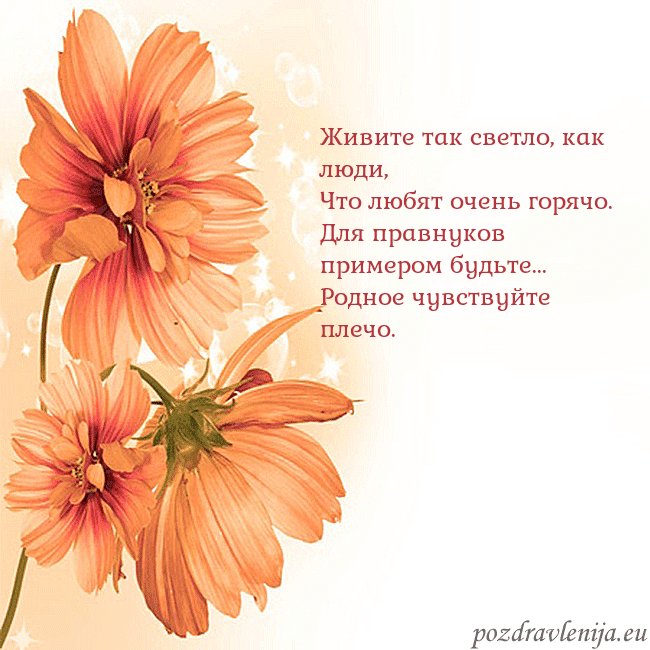 Открытка с оранжевыми цветами Живите так светло, как люди,
Что любят очень горя Открытка с оранжевыми цветами
