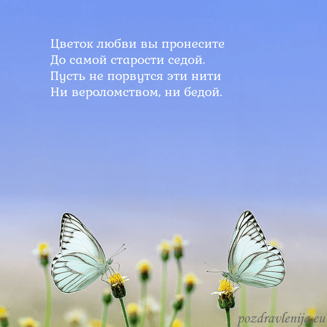 Свадебная открытка с двумя бабочками Цветок любви вы пронесите
До самой старости седой Свадебная открытка с двумя бабочками