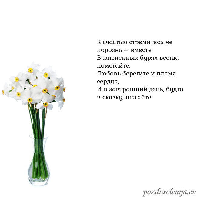 Открытка с нарциссами К счастью стремитесь не порознь – вместе,
В жизне Открытка с нарциссами