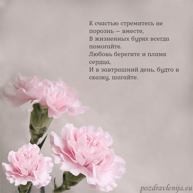 Открытка с розовыми гвоздиками К счастью стремитесь не порознь – вместе,
В жизне Открытка с розовыми гвоздиками