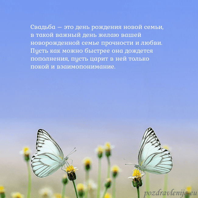 Свадебная открытка с двумя бабочками Свадьба – это день рождения новой семьи, в такой в Свадебная открытка с двумя бабочками