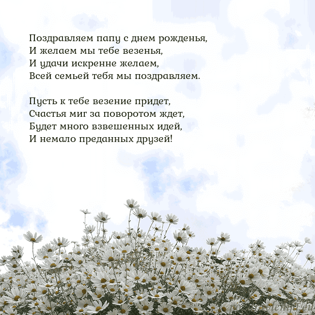 Открытка с ромашками