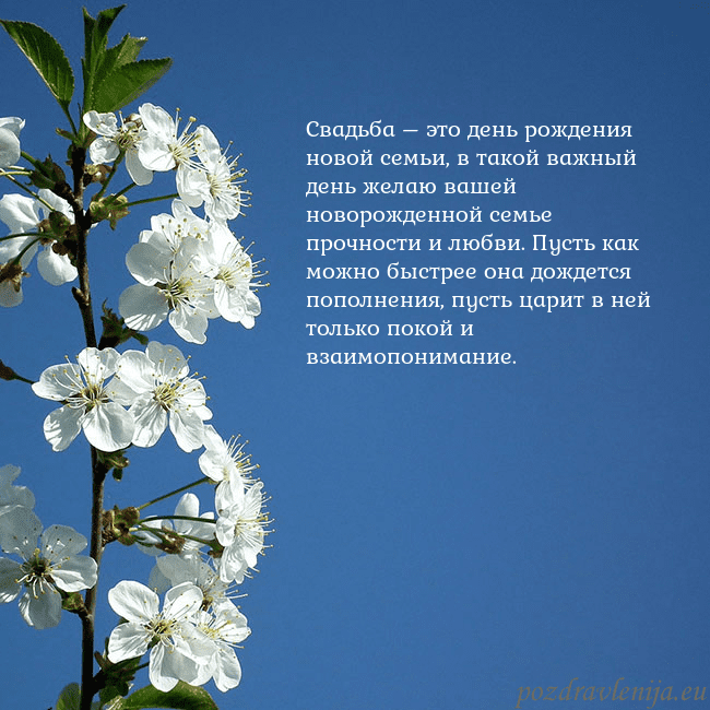 Открытка с весенними цветами Свадьба – это день рождения новой семьи, в такой в Открытка с весенними цветами