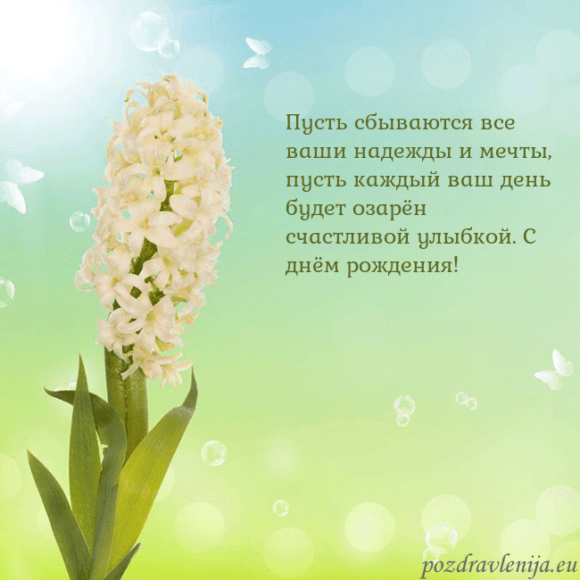 Открытка с гиацинтом