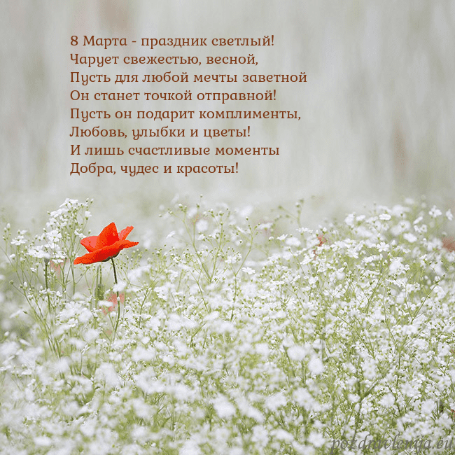 Электронная открытка с белыми цветами 8 Марта - праздник светлый!
Чарует свежестью, вес Электронная открытка с белыми цветами