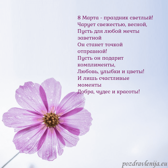 Электронная открытка с фиолетовым цветком 8 Марта - праздник светлый!
Чарует свежестью, вес Электронная открытка с фиолетовым цветком