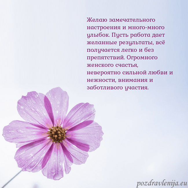 Электронная открытка с фиолетовым цветком Желаю замечательного настроения и много-много улыб Электронная открытка с фиолетовым цветком