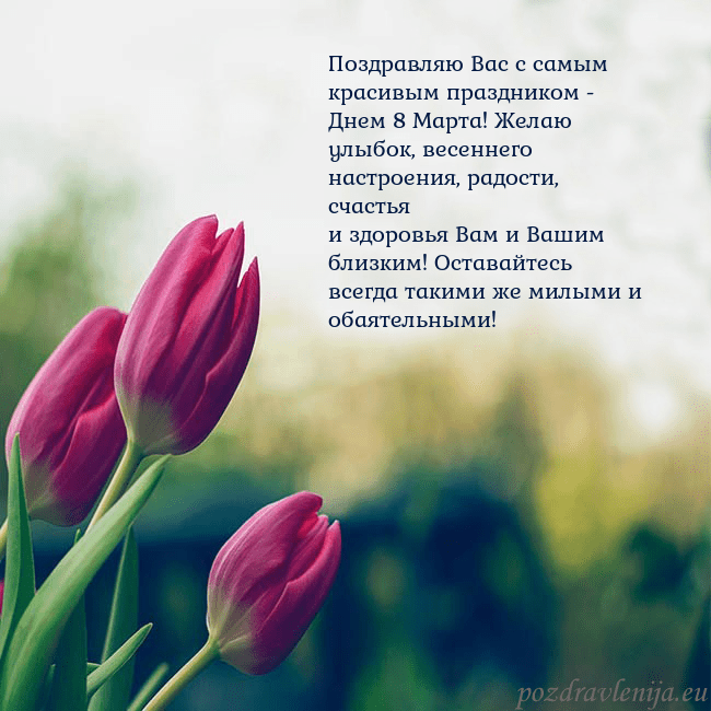 Открытка с тремя красными тюльпанами Поздравляю Вас с самым красивым праздником - Днем Открытка с тремя красными тюльпанами