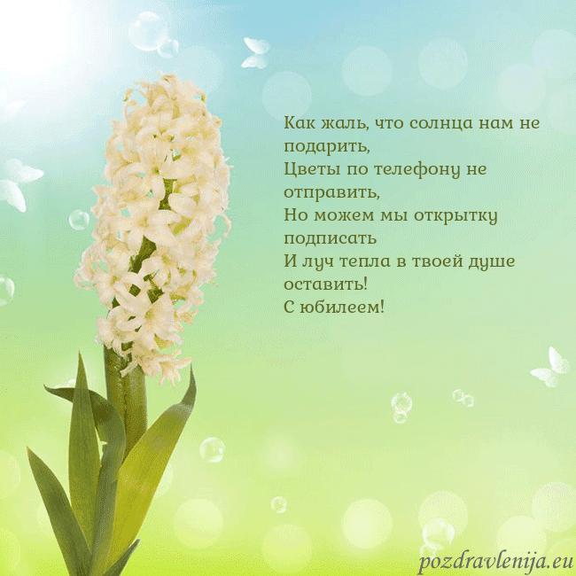 Открытка с гиацинтом