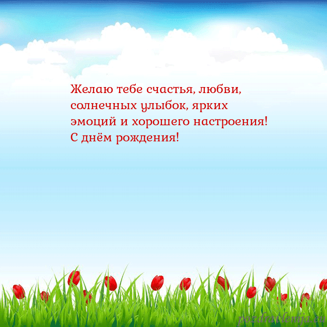 Открытка с тюльпанами