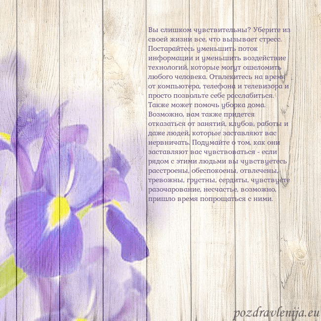 Открытка с ирисами Вы слишком чувствительны? Уберите из своей жизни в Открытка с ирисами