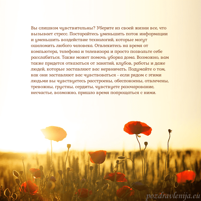Электронная открытка с полем маков Вы слишком чувствительны? Уберите из своей жизни в Электронная открытка с полем маков