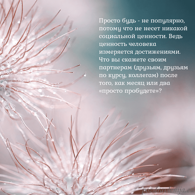 Открытка с пушистыми растениями Просто будь - не популярно, потому что не несет ни Открытка с пушистыми растениями
