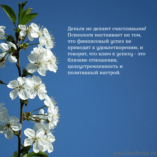 Открытка с весенними цветами Деньги не делают счастливыми! Психологи настаивает Открытка с весенними цветами