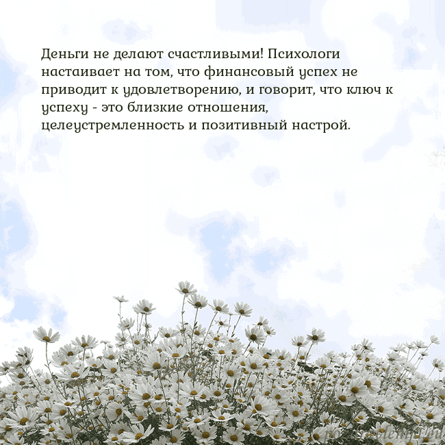 Открытка с ромашками Деньги не делают счастливыми! Психологи настаивает Открытка с ромашками