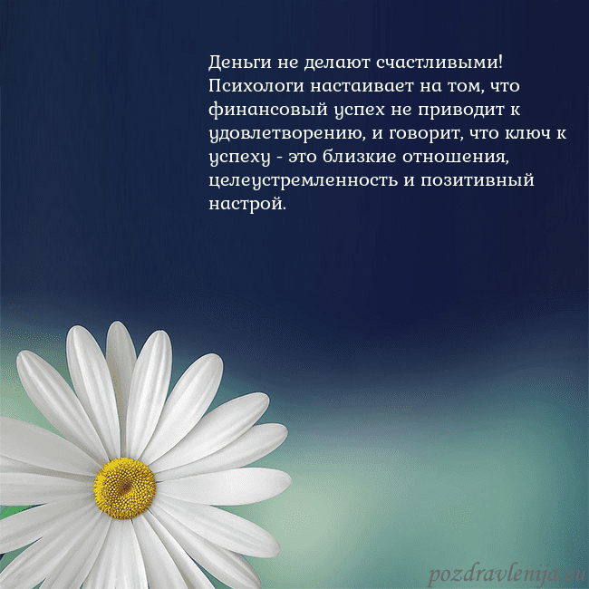 Открытка с большой ромашкой Деньги не делают счастливыми! Психологи настаивает Открытка с большой ромашкой