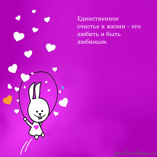 Открытка с забавным зайчиком