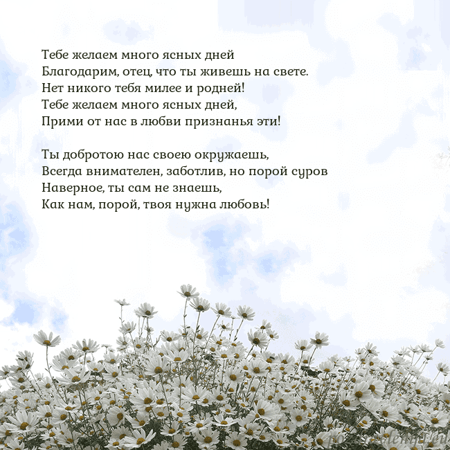 Открытка с ромашками