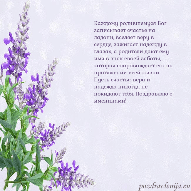 Открытка с люпинами Каждому родившемуся Бог записывает счастье на ладо Открытка с люпинами