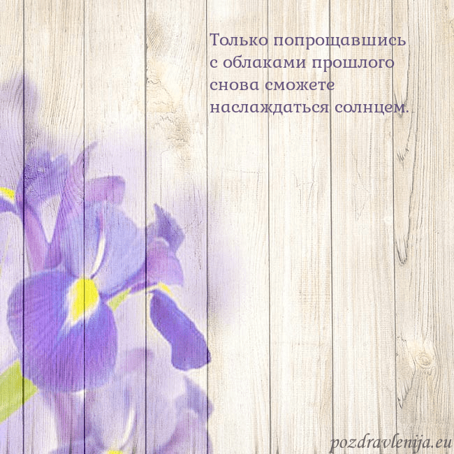 Открытка с ирисами