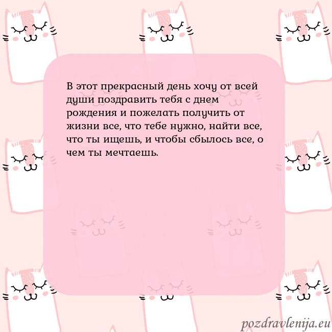 Розовая открытка с забавными кошками