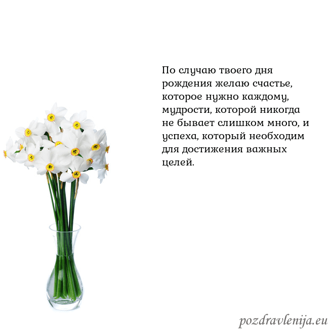 Открытка с нарциссами