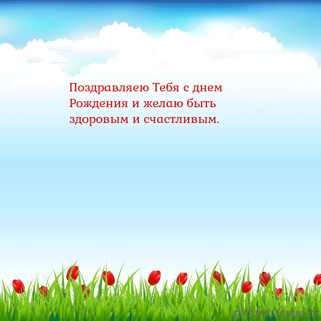 Открытка с тюльпанами