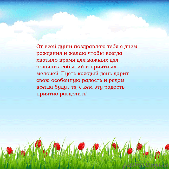 Открытка с тюльпанами