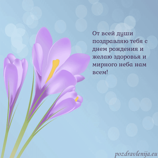 Открытка с крокусом