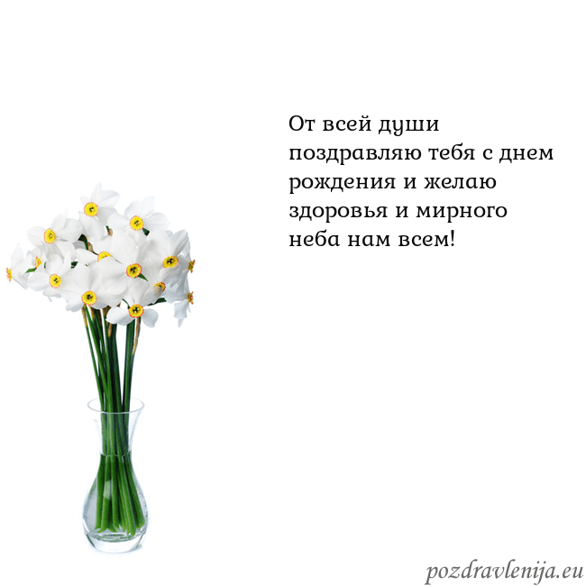 Открытка с нарциссами