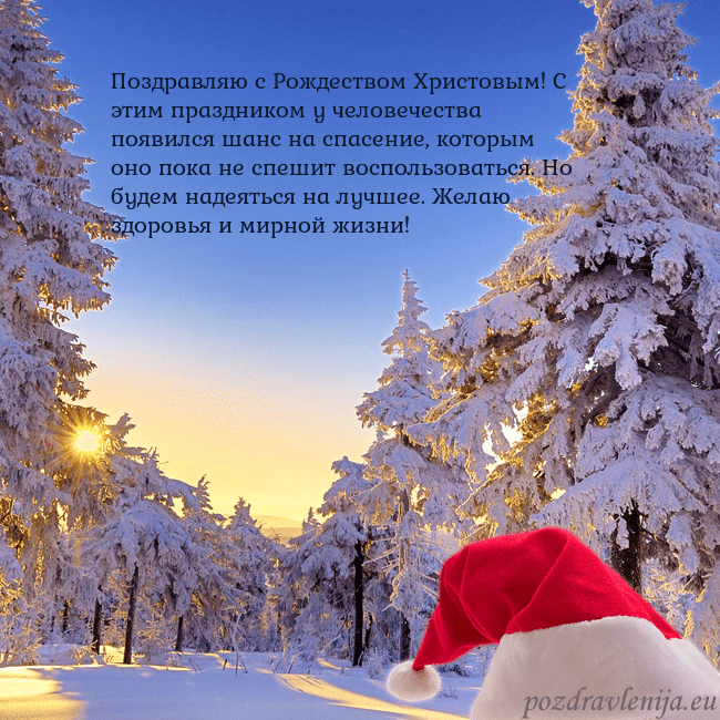 Новогодняя открытка со снежным лесом Поздравляю с Рождеством Христовым! С этим праздник Новогодняя открытка со снежным лесом