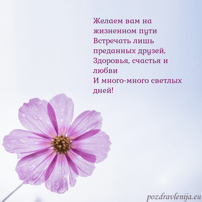 Электронная открытка с фиолетовым цветком