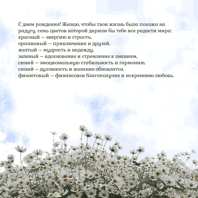 Открытка с ромашками