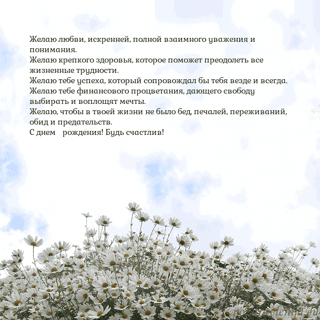 Открытка с ромашками