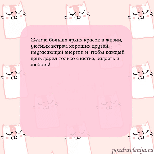 Розовая открытка с забавными кошками