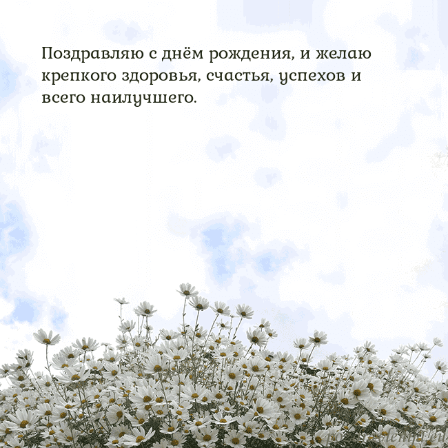 Открытка с ромашками