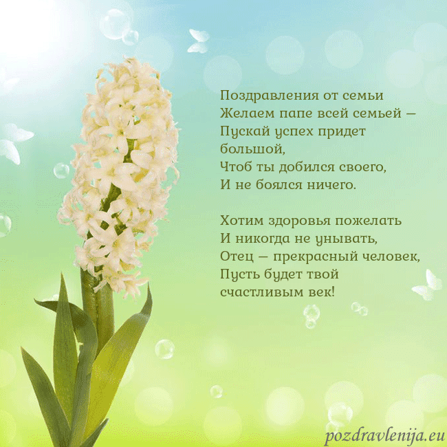 Открытка с гиацинтом
