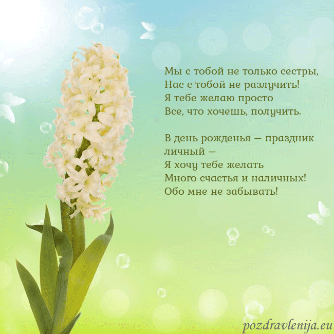 Открытка с гиацинтом