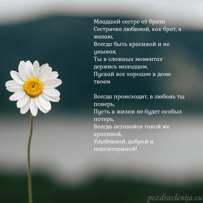 Электронная открытка с ромашкой