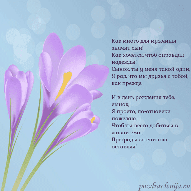 Открытка с крокусом