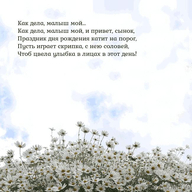 Открытка с ромашками